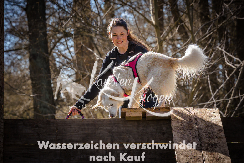0927_ZZ95734 | kk-dogfotos
