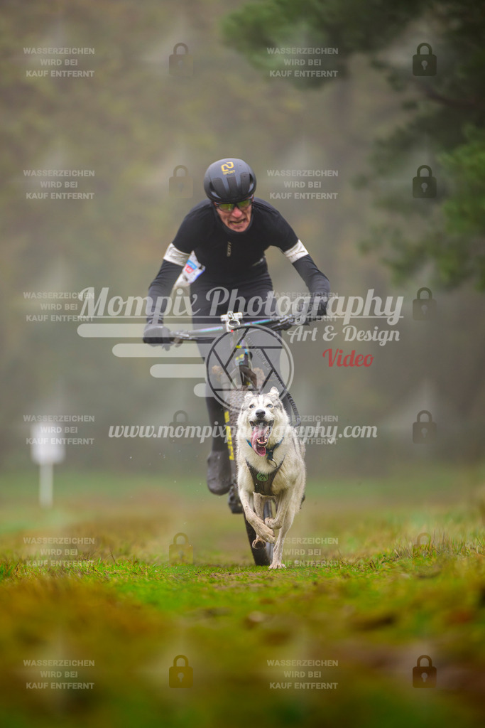 MompixPhotography_Bischwiller2025_Bike-9 | mompixphotography