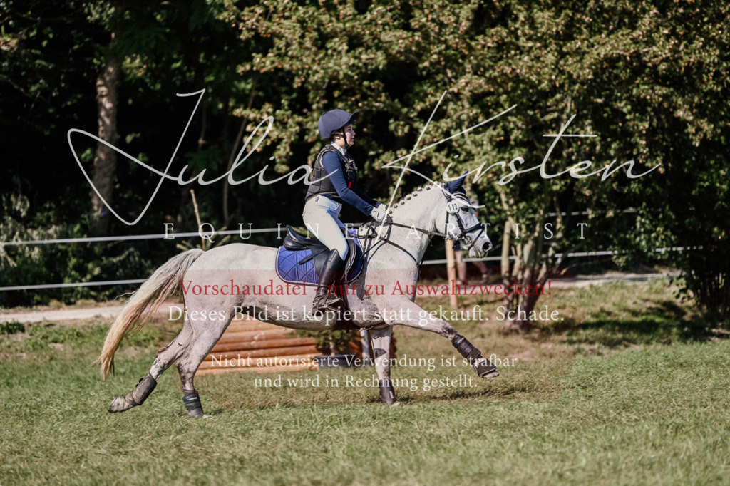 DSC_3197 | Pferde- und Turnierfotografie in Westsachsen. Pferdeportraits, Auftragszeichnungen und intuitive Kunst.