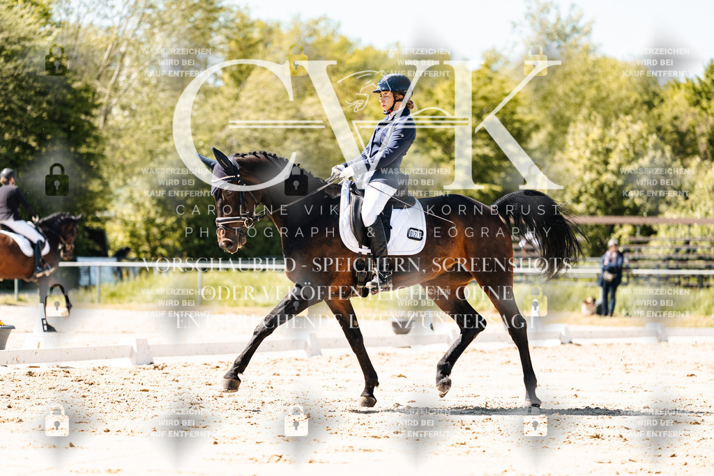 CK905296 | Turnierfotografie Pferdefotografie Trier Rheinland-Pfalz Pferdesport Reitsport Tierfotografie Sportfotografie Pferdevideo Pferdevideografie Equestrianvideography equestrianphotography  - Realisiert mit Pictrs.com