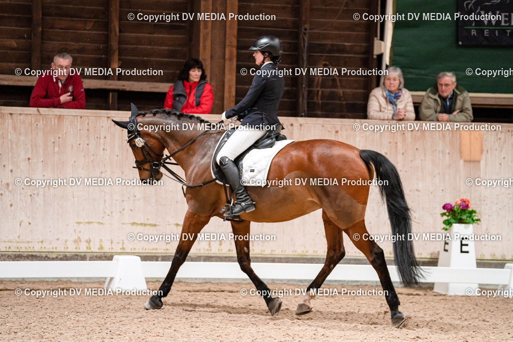 Dressur Tag 2-495 | dv-media-shop - Realisiert mit Pictrs.com