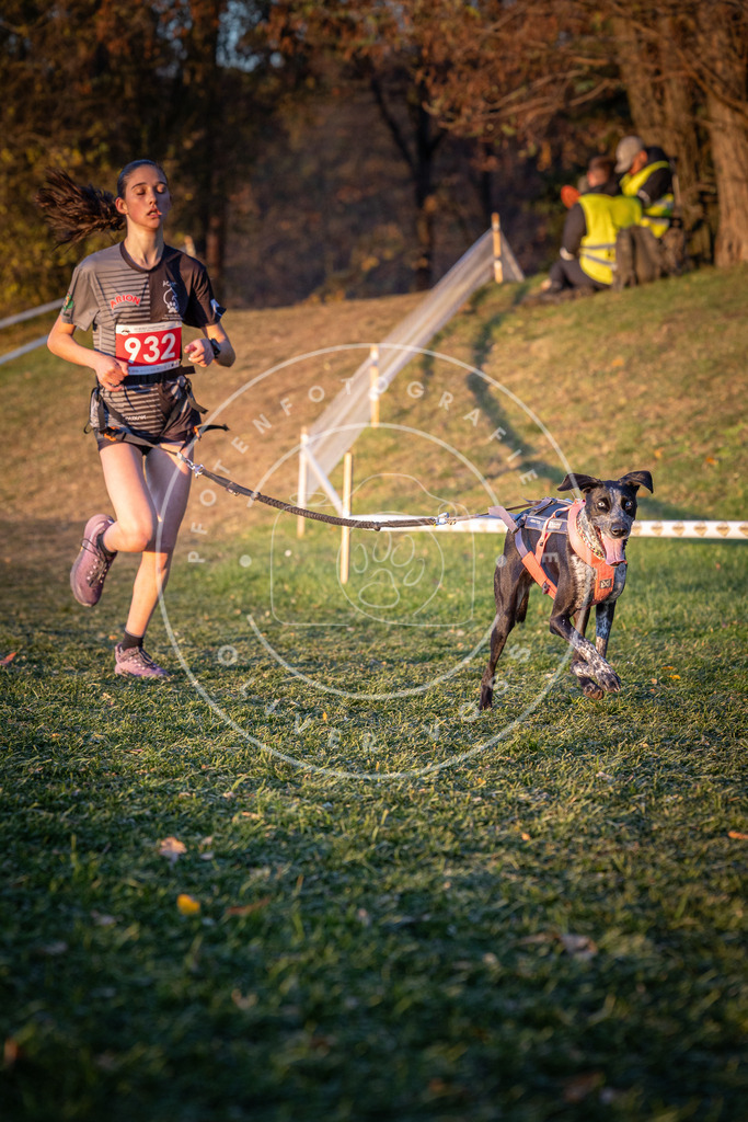 CaniXpix_0L8A1857 | Hundefotografie, Tierfotograf, Pfotenfotografie, Fotoshooting Hund, Hunde Portrait, Hundesport, Hundeportraits, Heideshooting, Hunde, Sportfotograf, Hundefotograf, Turnierhundsport, THS,  - Realisiert mit Pictrs.com