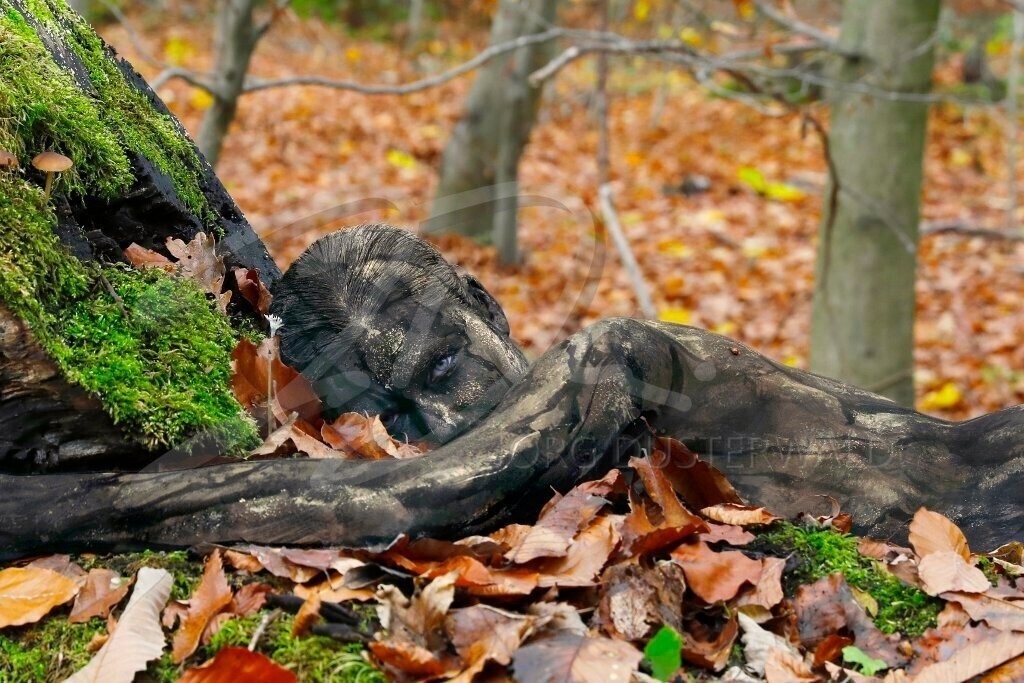 NatureArt-KLÜTLAUB_3238c1 | Käfer auf der Schulter | #018 | Modell: Tatjana Heinz | Foto: Tschiponnique Skupin - Realisiert mit Pictrs.com