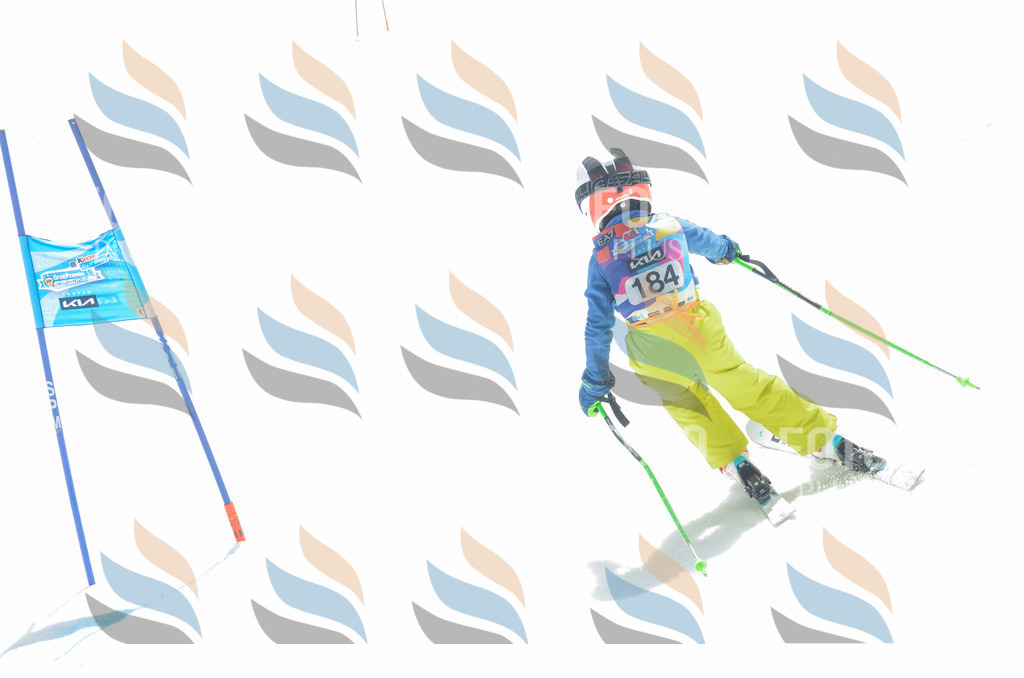 _ELE6723 | holidayphoto