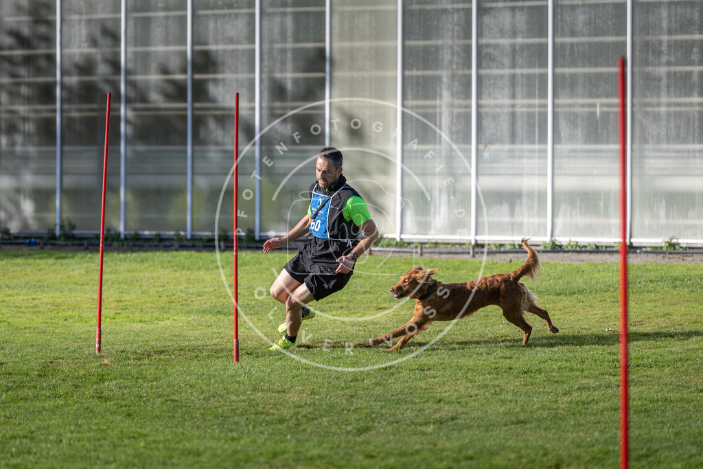 Pfotenfotografie.de_DV3A3409 | Hundefotografie, Tierfotograf, Pfotenfotografie, Fotoshooting Hund, Hunde Portrait, Hundesport, Hundeportraits, Heideshooting, Hunde, Sportfotograf, Hundefotograf, Turnierhundsport, THS, canicross - Realisiert mit Pictrs.com