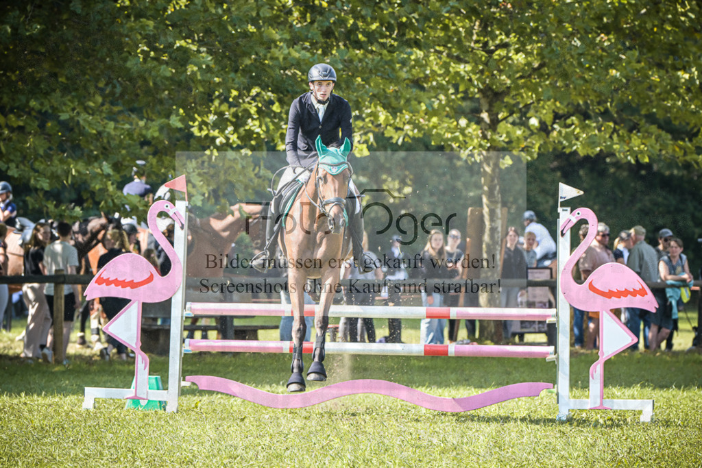 DOS_0762 | Entdecke hochwertige Reitturnierfotos von Foto Oger. Professionell, emotional und authentisch – jetzt Lieblingsmomente im Shop bestellen.Deutschlandweite Turnierfotografie. - Realisiert mit Pictrs.com