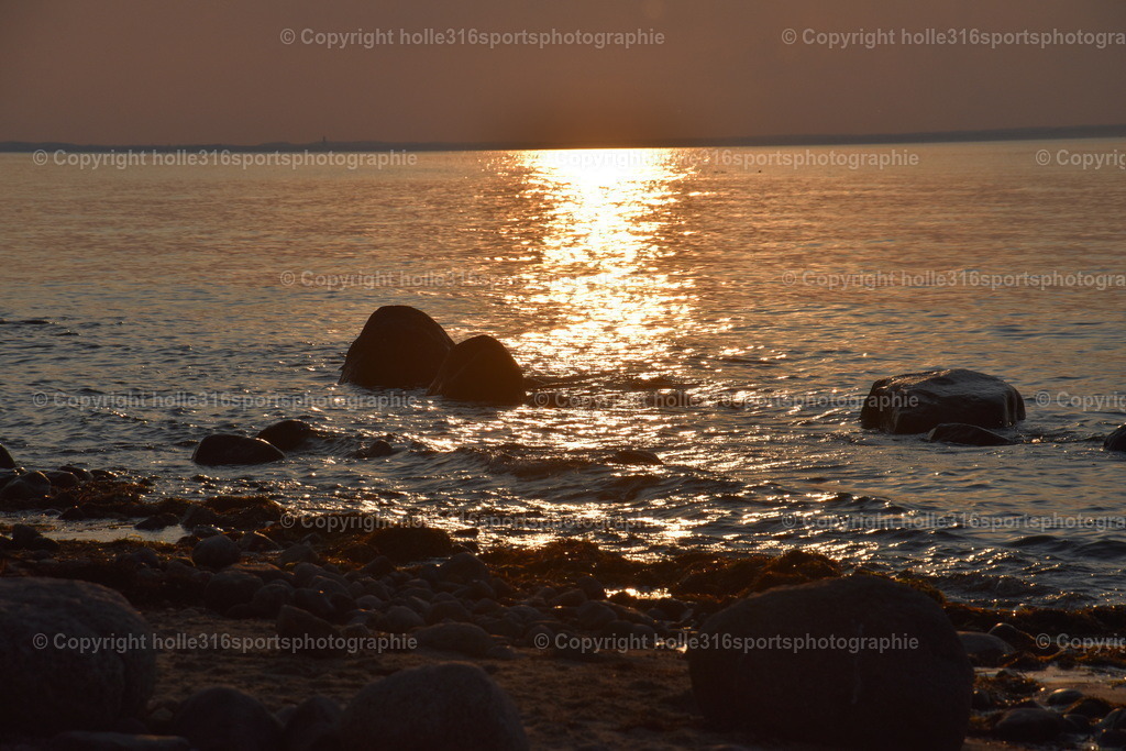 DSC_0090 | Sportfotografie , Motorsport, Motoross, Reitsport, Mointainbike, Enduro,
Landschaft , Outdoor, Eventfotografie, Landschaft, Bilder online bestellen - Realisiert mit Pictrs.com