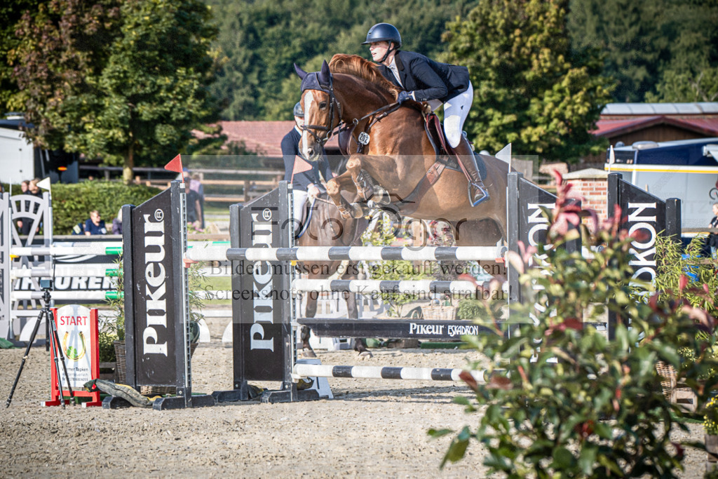 DOS_5354 | Entdecke hochwertige Reitturnierfotos von Foto Oger. Professionell, emotional und authentisch – jetzt Lieblingsmomente im Shop bestellen.Deutschlandweite Turnierfotografie. - Realisiert mit Pictrs.com