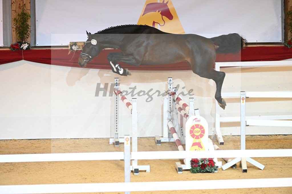 Kat-Nr. 21 Douglas VDL_VDL Stud_1230884 | hf-fotografie - Realizzato con Pictrs.com