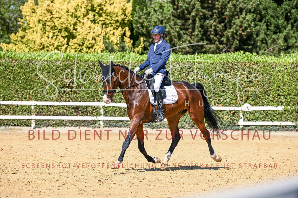 Schugtsche-Aluta25-50.Dressurpferdeprf.L-39 | Schugtsche Fotografie - Realisiert mit Pictrs.com