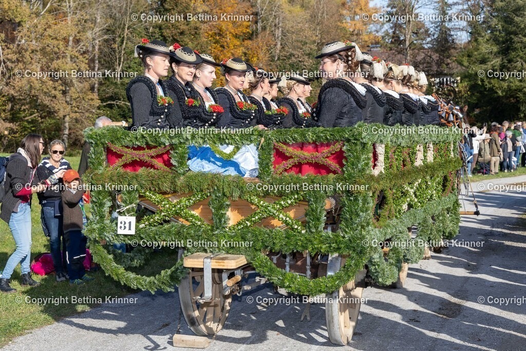 LBT24-1309 | foto-bettina-krinner - Realisiert mit Pictrs.com