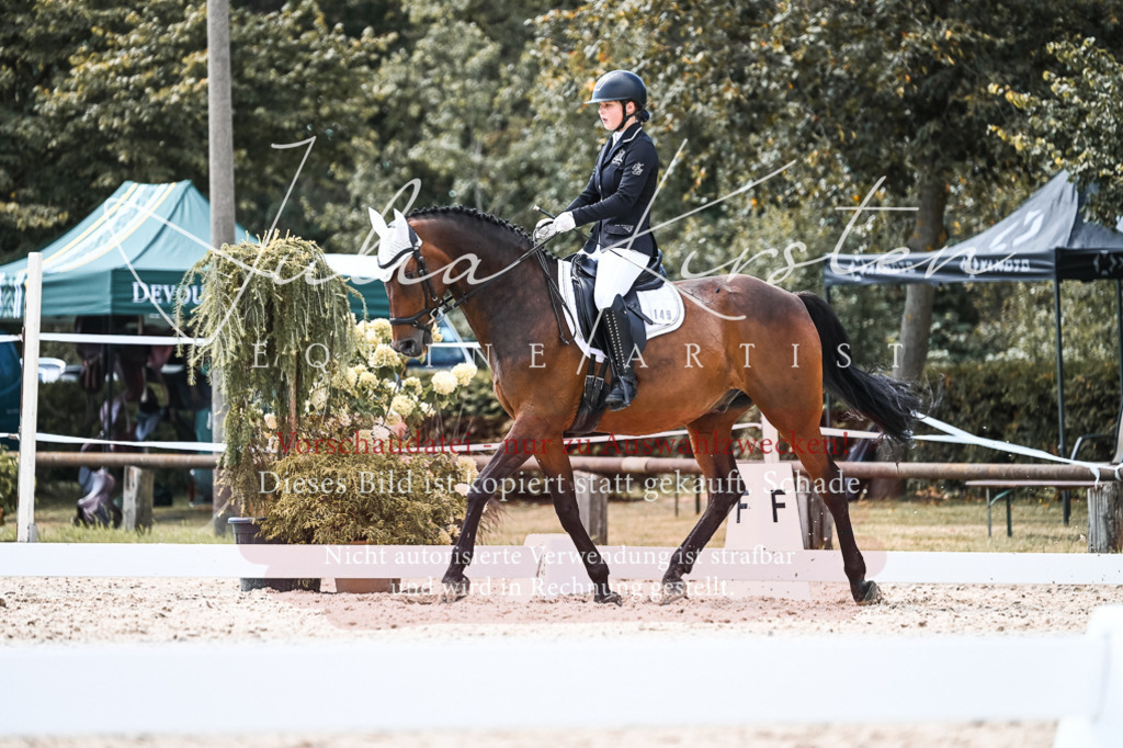 DSC_5636 | Pferde- und Turnierfotografie in Westsachsen. Pferdeportraits, Auftragszeichnungen und intuitive Kunst.