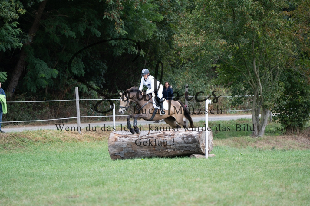 A7V00442 | Pferdefotograf