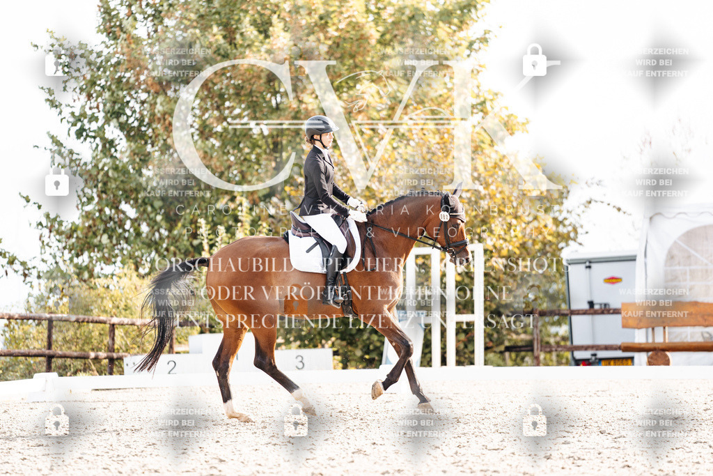 CK900931 | Turnierfotografie Pferdefotografie Trier Rheinland-Pfalz Pferdesport Reitsport Tierfotografie Sportfotografie Pferdevideo Pferdevideografie Equestrianvideography equestrianphotography  - Realisiert mit Pictrs.com