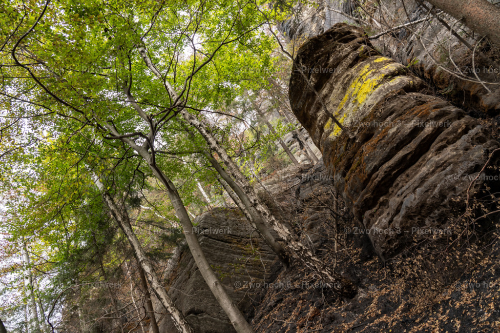 Obere_Affensteinpromenade_Felsen_Felswand_Hang | 2022-09-02_Waldbrandgebiete_2 - Realisiert mit Pictrs.com