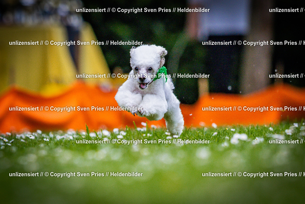 Sven Pries | 2025-05-29 - Pudelrennen KA-Durlach - Realisiert mit Pictrs.com