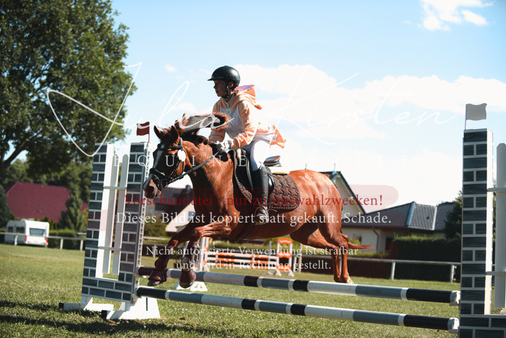 DSC_7376 | Pferde- und Turnierfotografie in Westsachsen. Pferdeportraits, Auftragszeichnungen und intuitive Kunst.