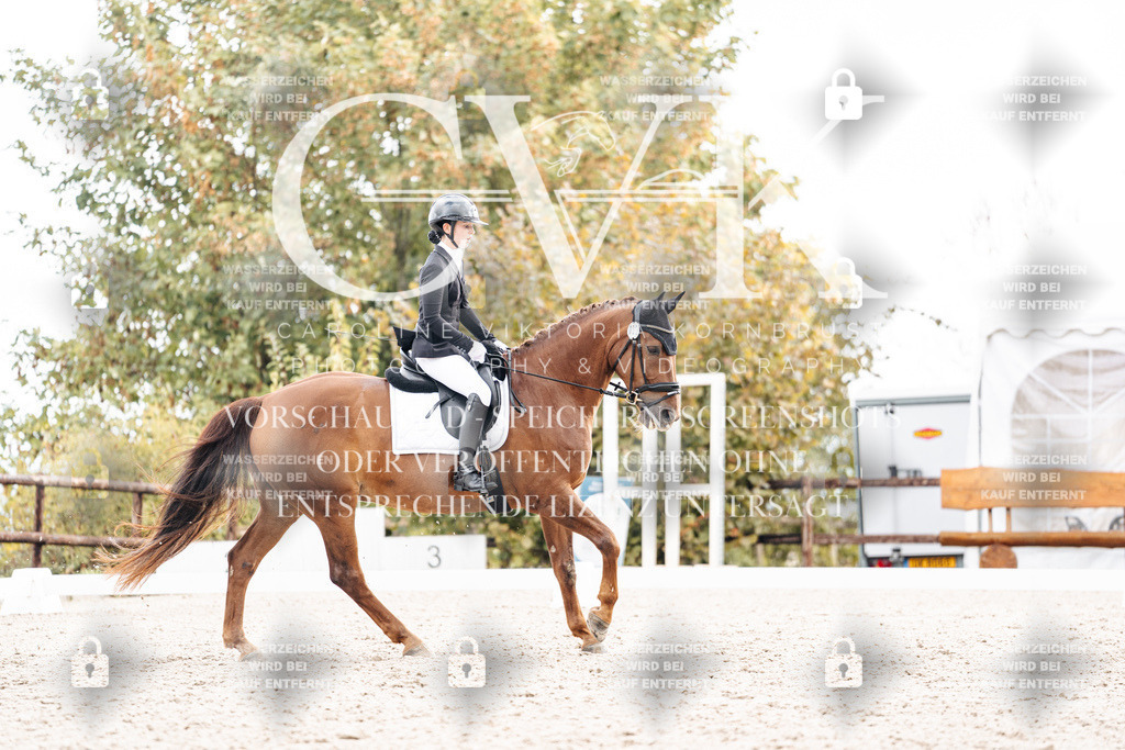 CK900775 | Turnierfotografie Pferdefotografie Trier Rheinland-Pfalz Pferdesport Reitsport Tierfotografie Sportfotografie Pferdevideo Pferdevideografie Equestrianvideography equestrianphotography  - Realisiert mit Pictrs.com