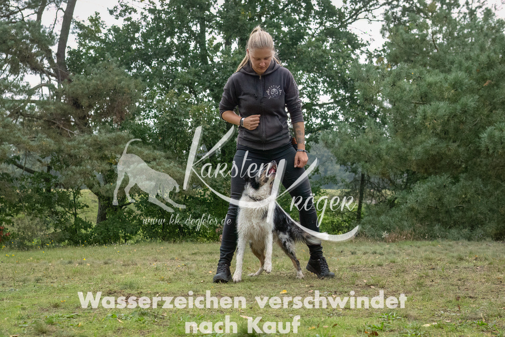 1313_ZZ92797-2-Bearbeitet | kk-dogfotos