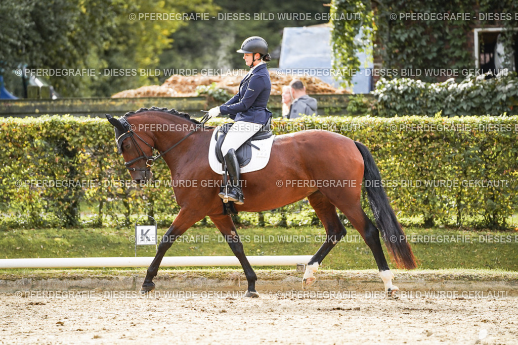 DSC09385 | Pferdegrafie