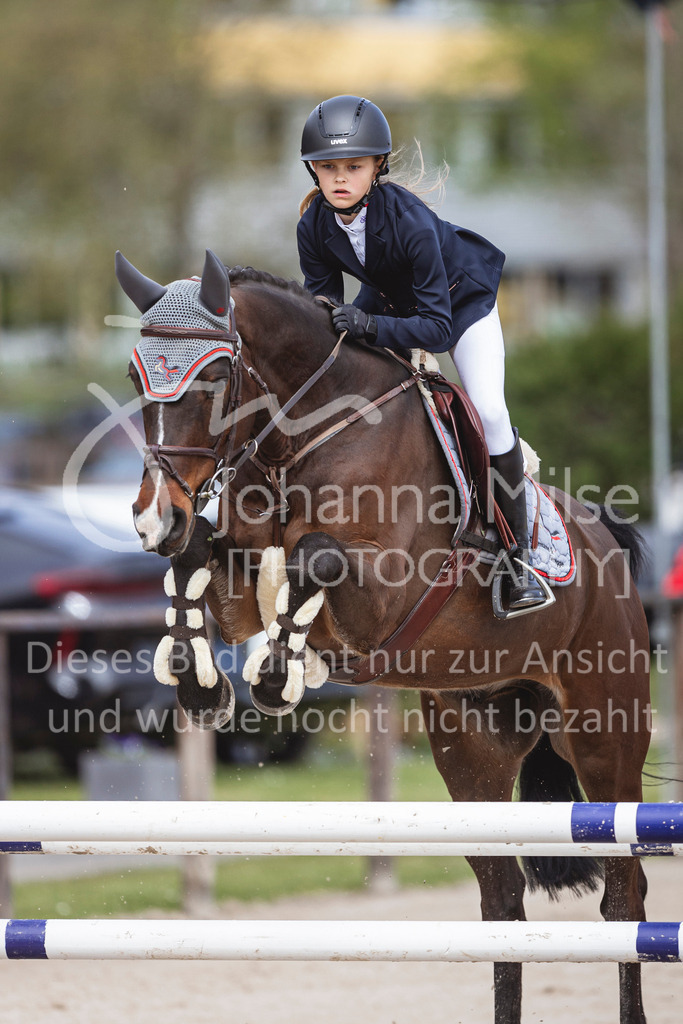 250419_Frühlingsfest_Stil-A2-1-523 | Deine schönsten Turniermomente als professionelle Fotos! Entdecke hochwertige Pferdesport-Fotografie im Online-Shop. Jetzt Fotos finden & bestellen!