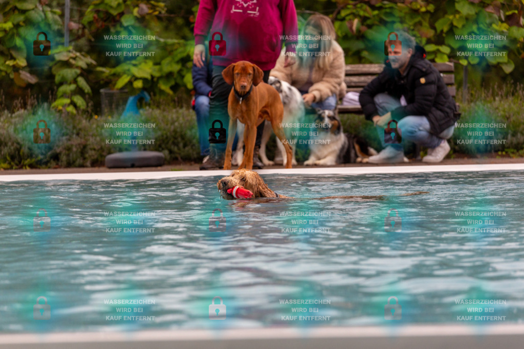 _HP_6046_1000o | HetPix, HetPix Fotodesign, Fotografie, Fotodesign, Webshop, Sportfotografie, Portraitfotografie, Onlineshop, Sportfotografie, Polch, Motorsportfotografie, Eventfotografie