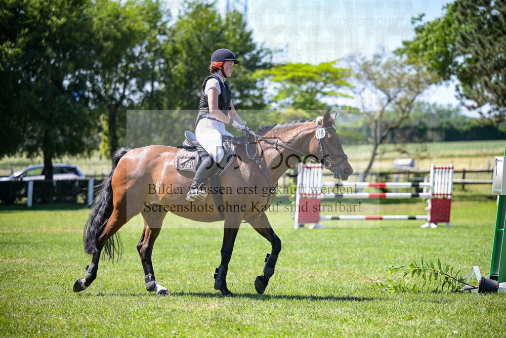 Reitturnier Voxtrup | Entdecke hochwertige Reitturnierfotos von Foto Oger. Professionell, emotional und authentisch – jetzt Lieblingsmomente im Shop bestellen. - Realisiert mit Pictrs.com