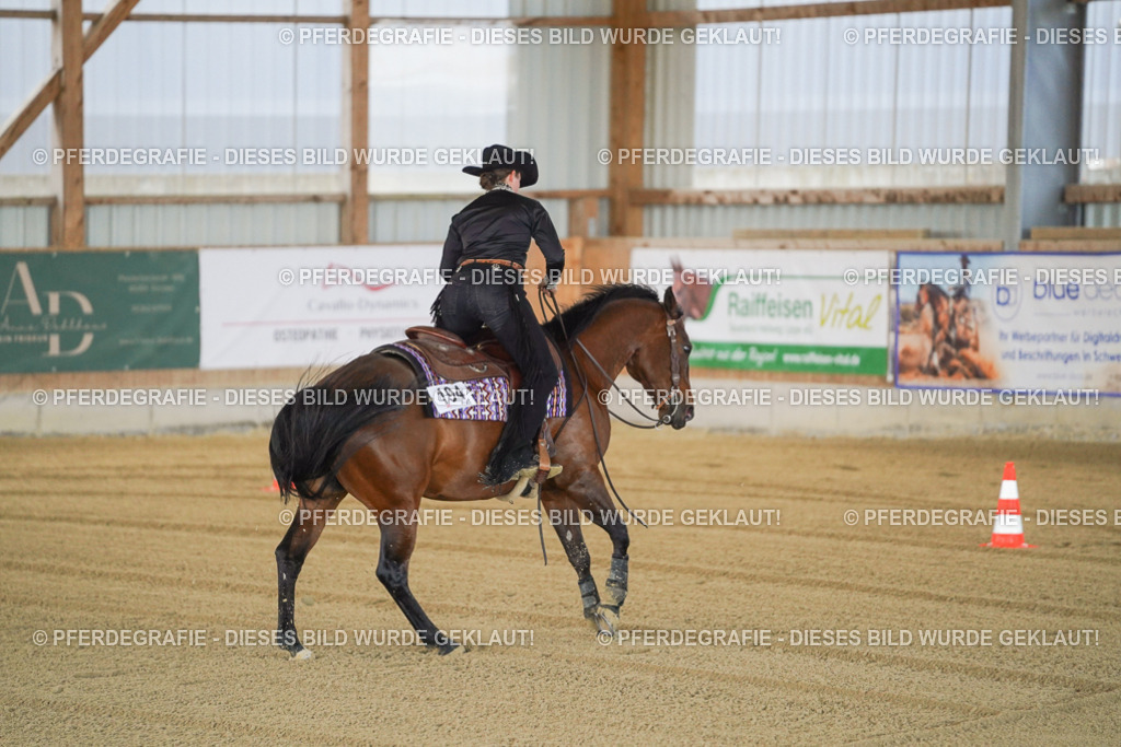 DSC00079 | Pferdegrafie