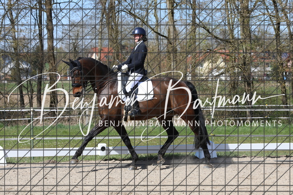 AZ2A4674 | Benjamin Bartmann Photomoments