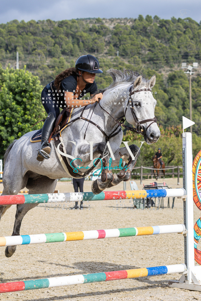 IMG_4148 | s-jay-photography - Realisiert mit Pictrs.com