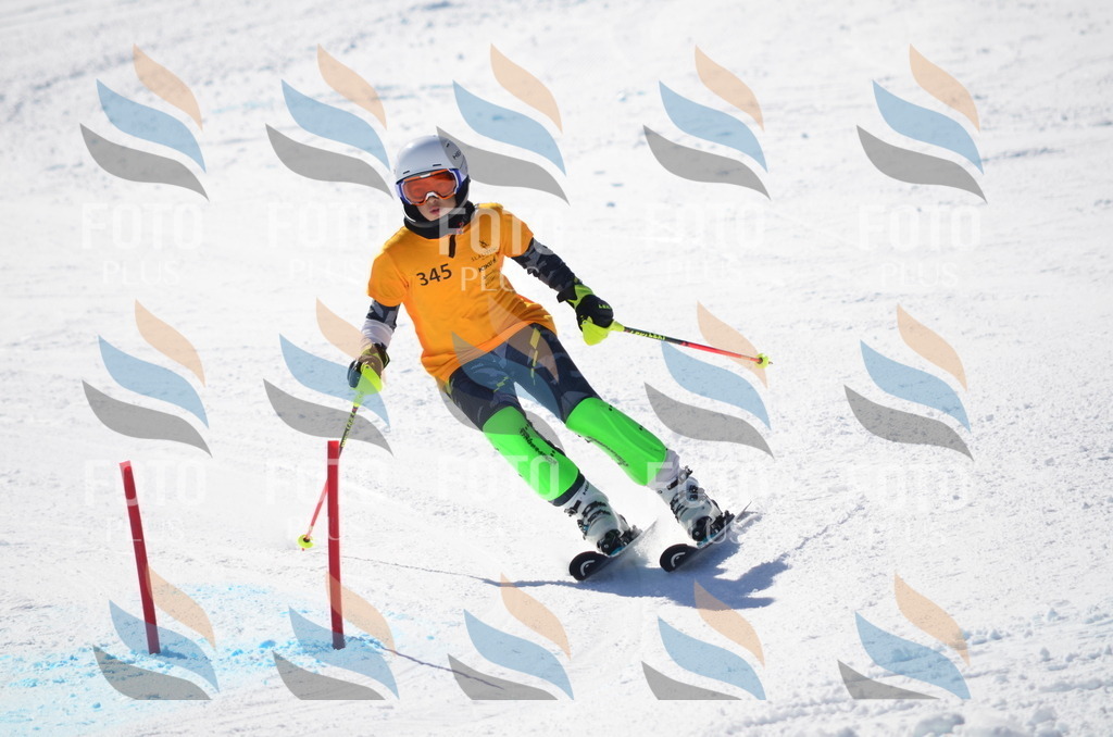 C9755 | holidayphoto