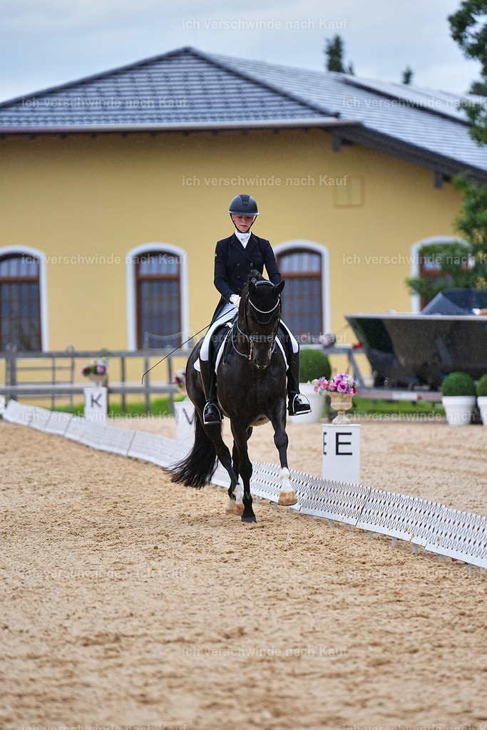 8_1-212-Klasse S_  -Marixx-4260 | working equitationturnier fotograf videograf stoibphotography marixx film working equitation deutschland reitsport turnierfotografie eventfotografie equestrian events