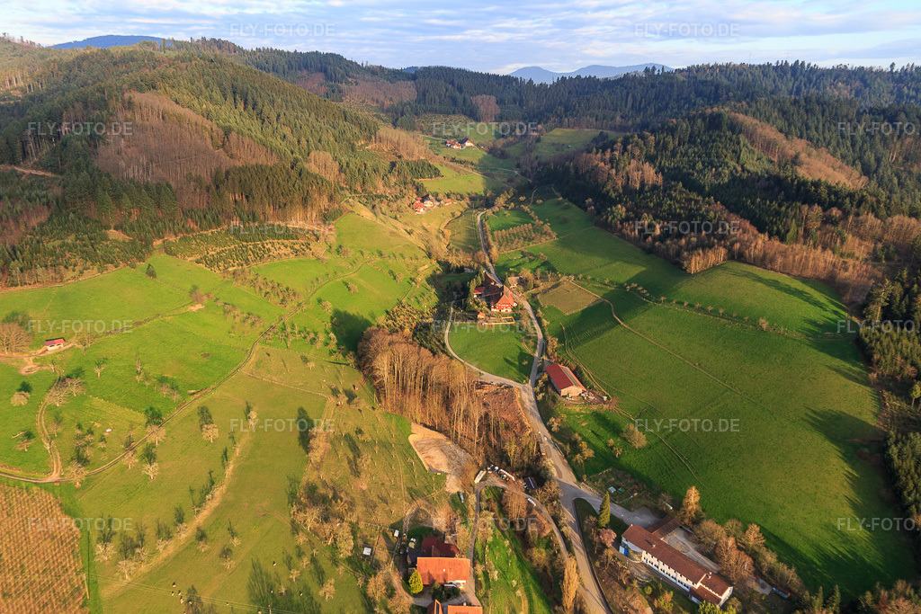 Luftbild: Schwarzwaldhöfe mit Ferienhaus Rösch im Schwaibachtal im Ortsteil Schwaibach in Gengenbach im Bundesland Baden-Württemberg in Deutschland. Foto: IMG_120363.jpg vom 17.03.2020 durch Werner Riehm/FLY-FOTO.deFerienhaus Rösch