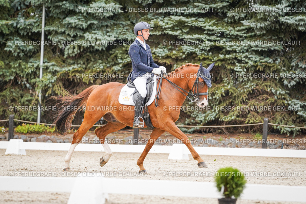 DSC08503 | Pferdegrafie