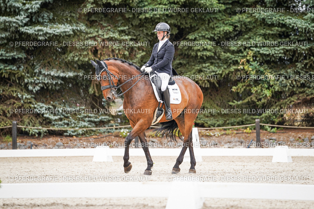 DSC08247 | Pferdegrafie