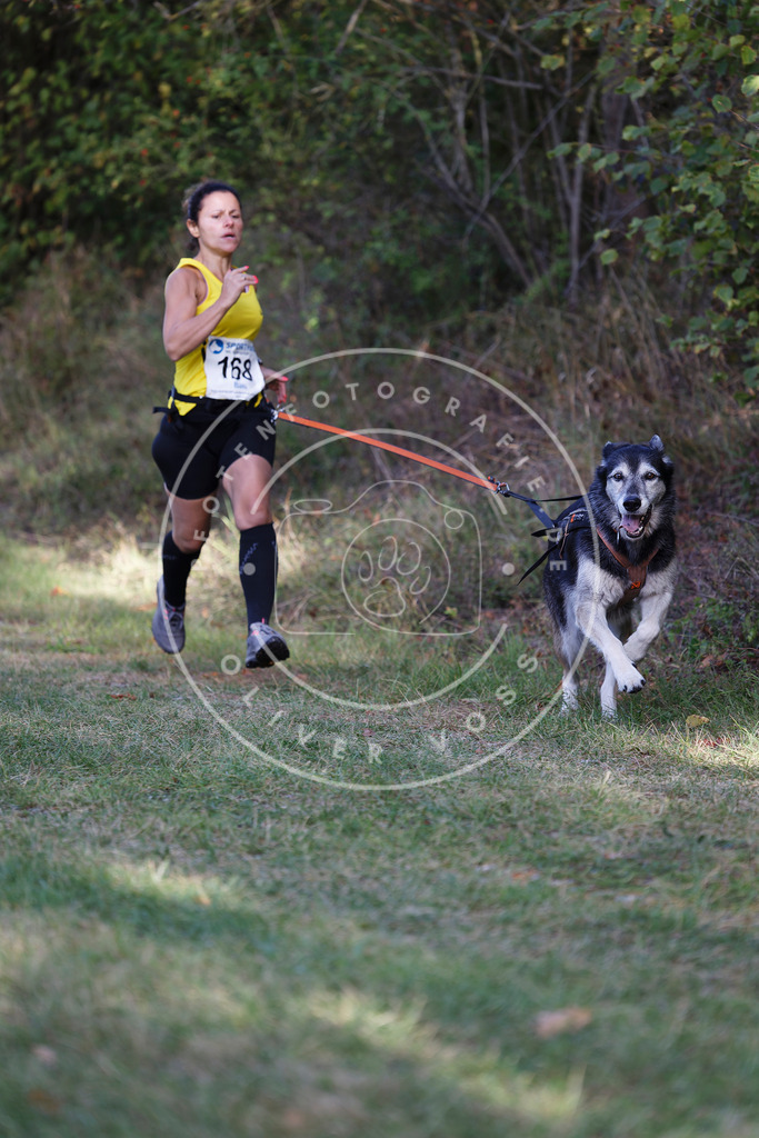 0L8A5318 | Hundefotografie, Tierfotograf, Pfotenfotografie, Fotoshooting Hund, Hunde Portrait, Hundesport, Hundeportraits, Heideshooting, Hunde, Sportfotograf, Hundefotograf, Turnierhundsport, THS,  - Realisiert mit Pictrs.com
