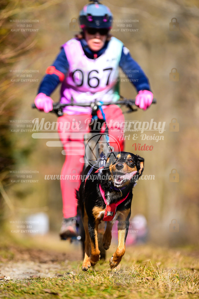 MompixPhotography_Schwabentrail2025_SO_Bike-112 | PayLife