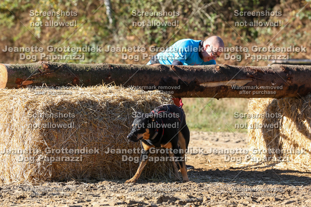 Dog Paparazzi - Strongdog 10-25-2303 | Dog Paparazzi Jeanette Grottendiek Fotografie & Videografie - Realisiert mit Pictrs.com
