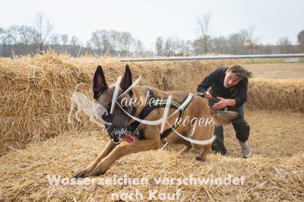 1048_ZZ99522 | kk-dogfotos