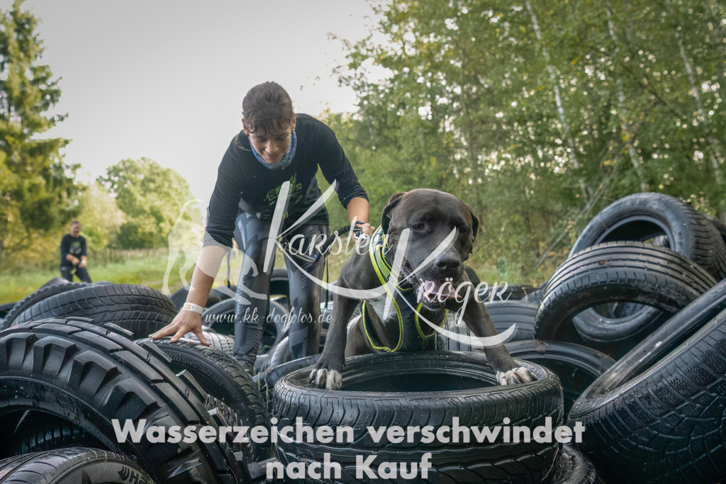 1028_ZZ94416-Bearbeitet | kk-dogfotos