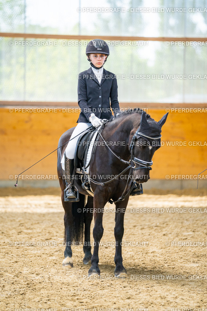 DSC01130 | Pferdegrafie