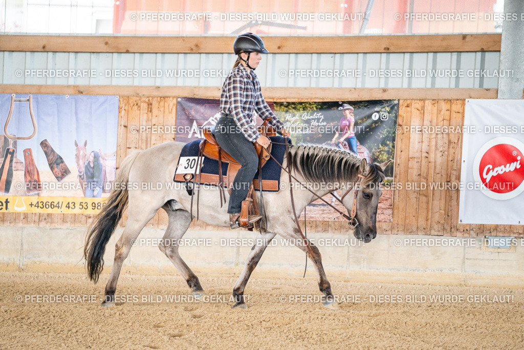 DSC01803 | Pferdegrafie