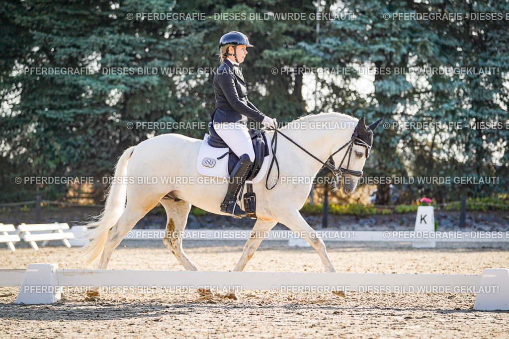 DSC08699 | Pferdegrafie