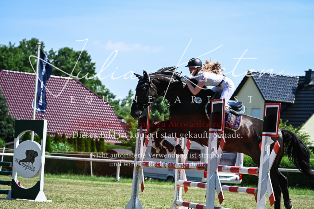 DSC_0977 | Pferde- und Turnierfotografie in Westsachsen. Pferdeportraits, Auftragszeichnungen und intuitive Kunst.