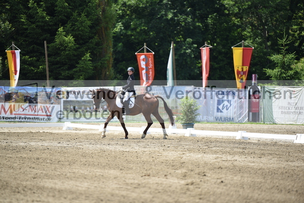 DSC_0019 | equestrian-live-com