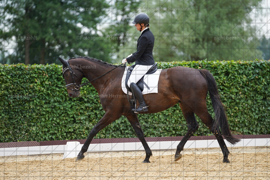 20240630-FAH00889 | Turnierbilder Schwabmünchen, Dressurbilder, Springreitturnier, Reitsportbilder, Turnierfotografen Bayern, Turnierfotograf