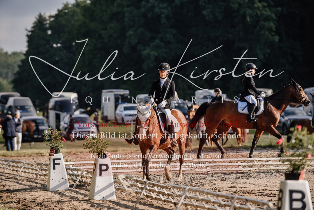 DSC_7867 | Pferde- und Turnierfotografie in Westsachsen. Pferdeportraits, Auftragszeichnungen und intuitive Kunst.