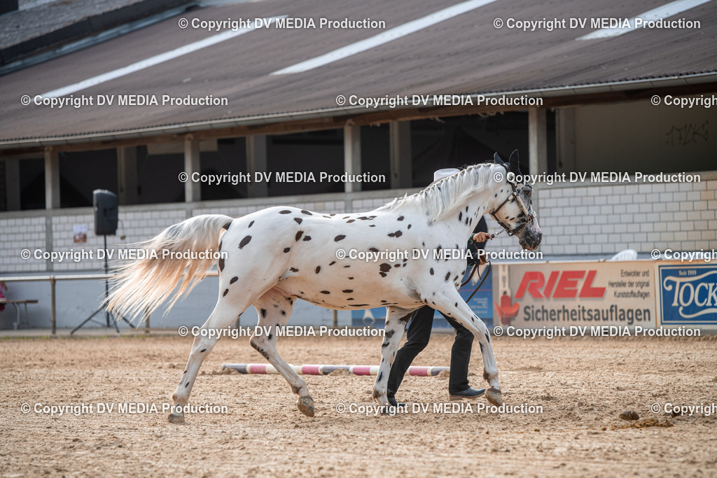 EWP_5595 | dv-media-shop - Realisiert mit Pictrs.com