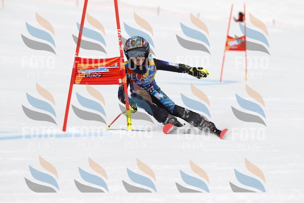 _U3G5929 | holidayphoto