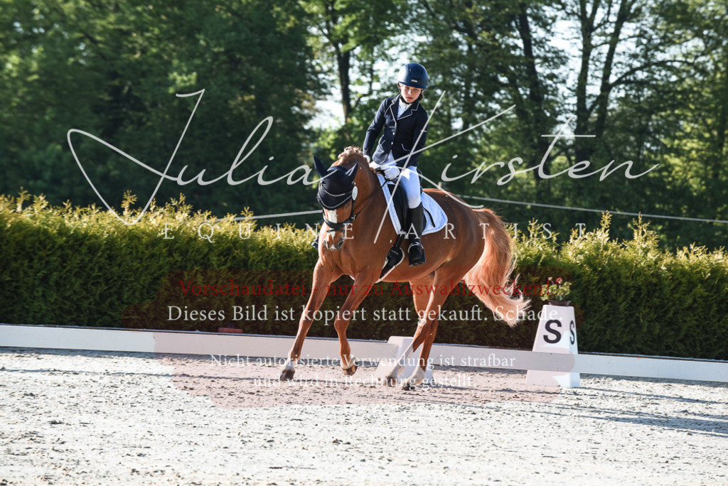20230518_JK-Röhrsdorf-09-0246 | Pferde- und Turnierfotografie in Westsachsen. Pferdeportraits, Auftragszeichnungen und intuitive Kunst.
